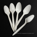 Biodegradable white spoon 6"  in USA/European Market